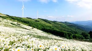 육백마지기 (yukbaekmajigi) 2